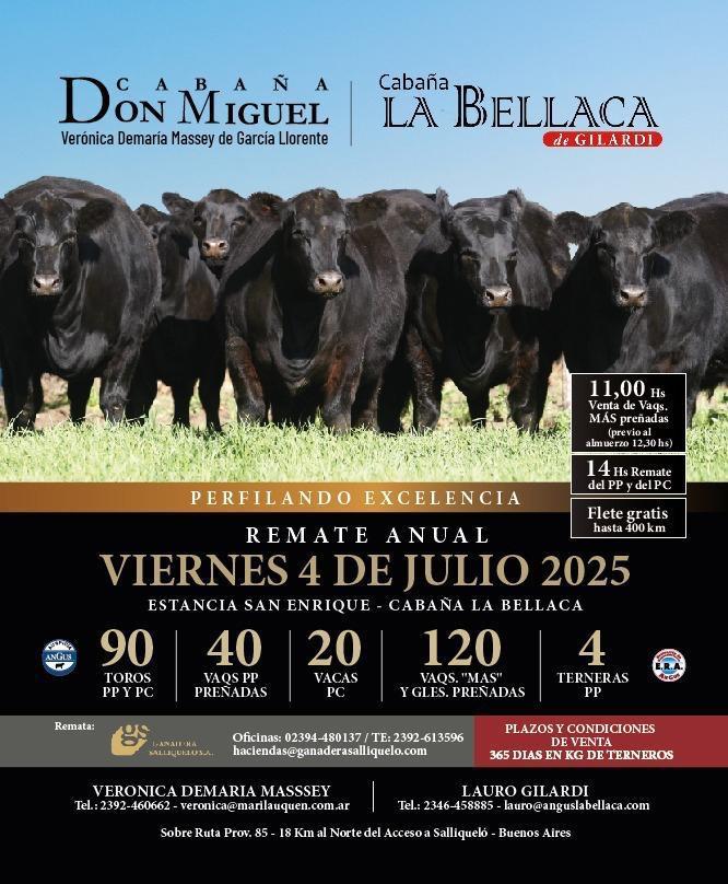 Imagen de La Bellaca - Don Miguel